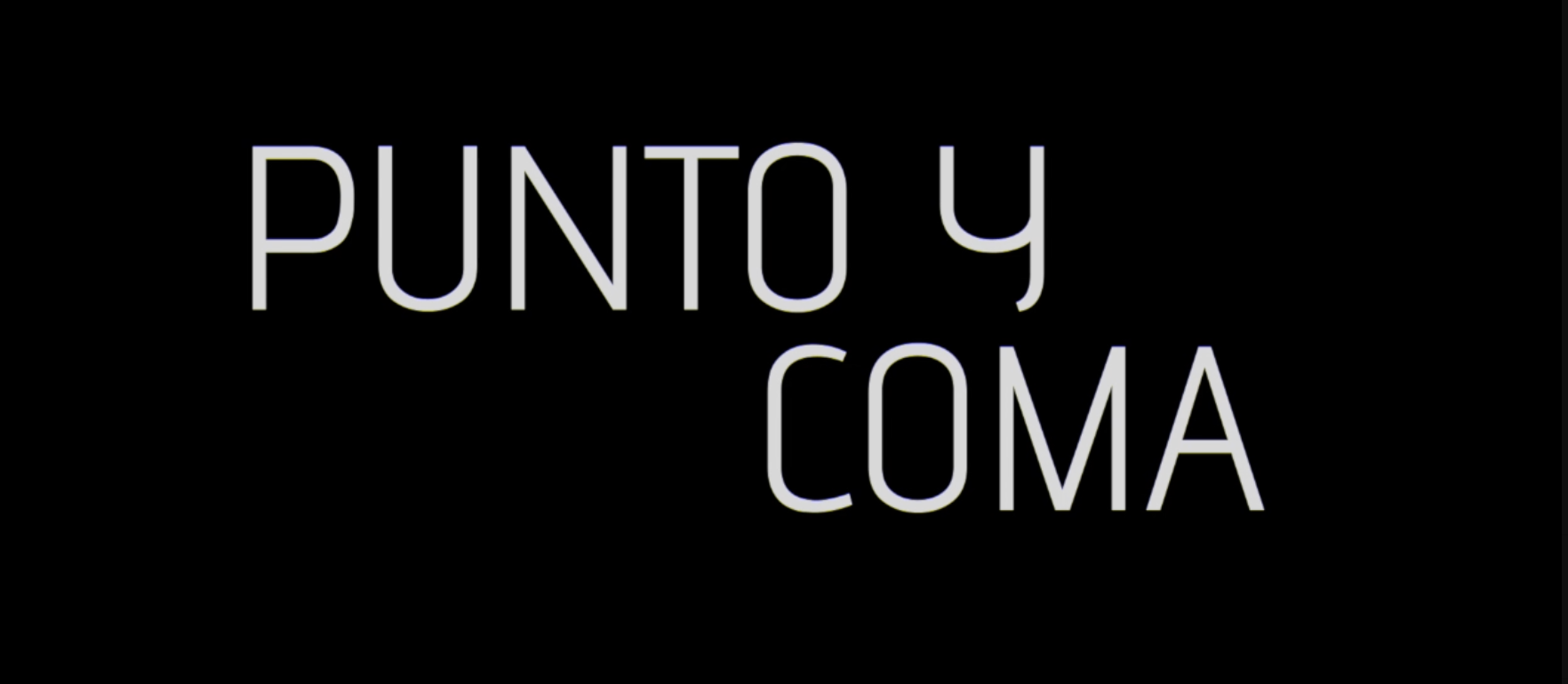 Punto y Coma