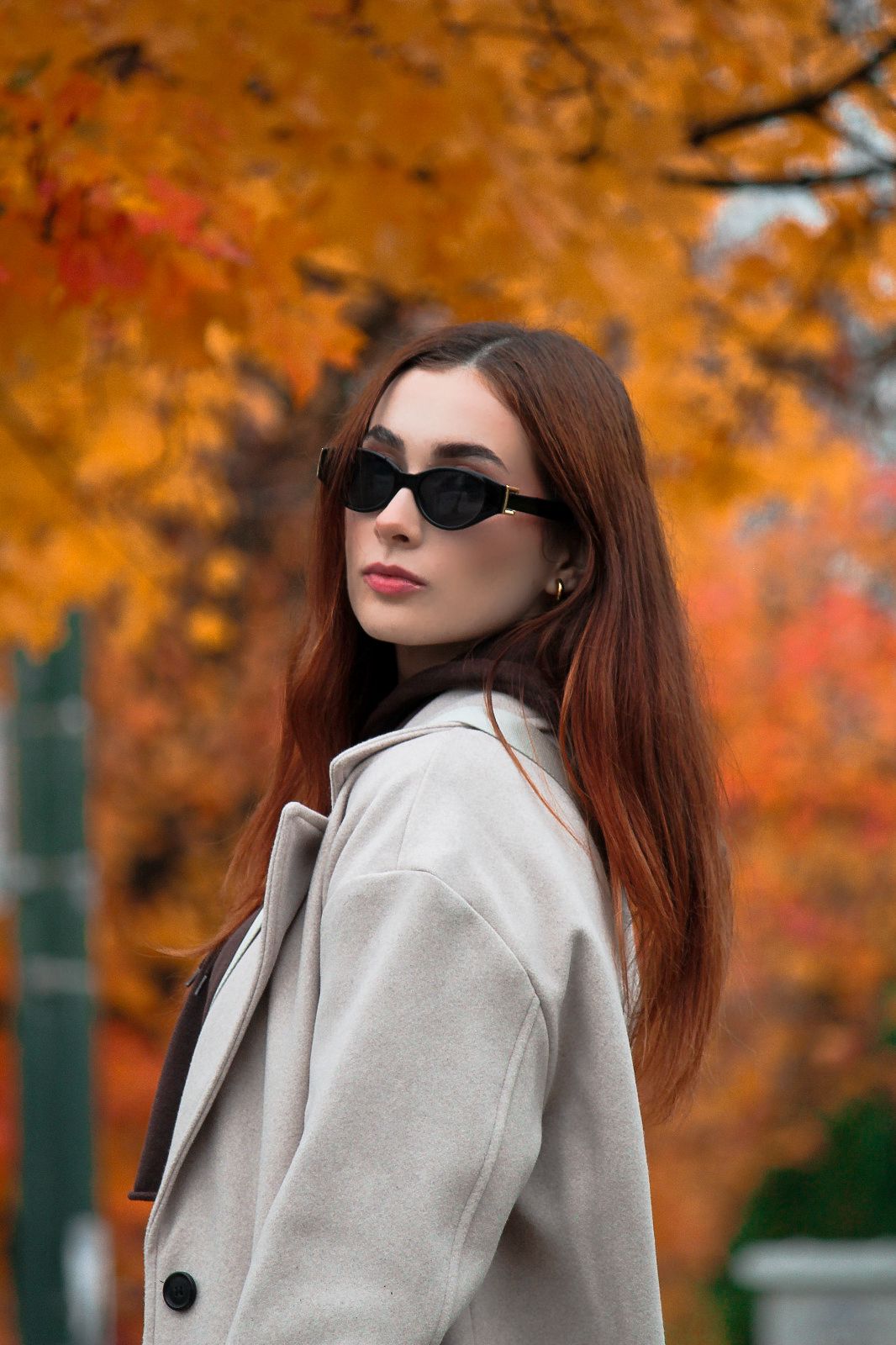 Fall model